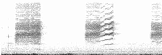 Loggerhead Shrike - ML326621631