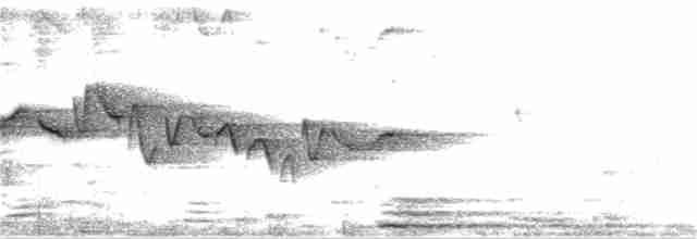 Тимелія-куцохвіст велика (підвид albiventer/pallidior) - ML326692211