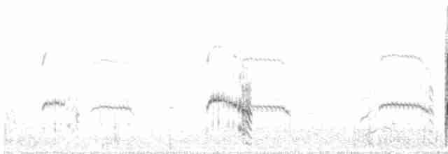 Крячок камчатський - ML32677781
