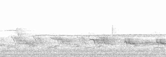 Weißbrustkleiber - ML326782161