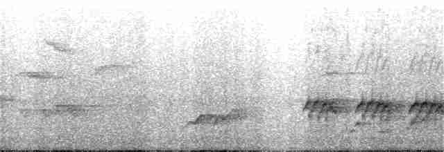 Chestnut-headed Bee-eater - ML326806851
