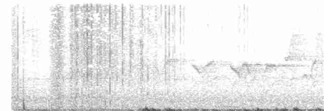 Hooded Warbler - ML326916531
