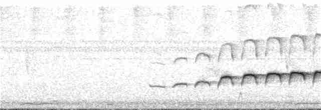 Large-tailed Antshrike - ML326922811