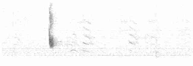Chalk-browed Mockingbird - ML327102291