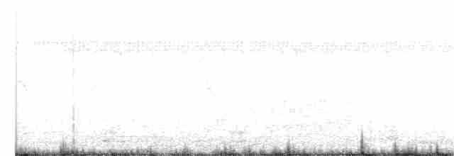 ibis běločelý - ML327121231