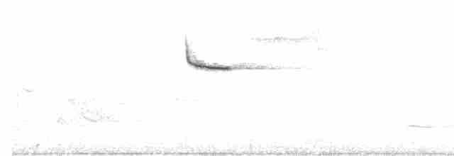 Pygmy Cupwing - ML327130361