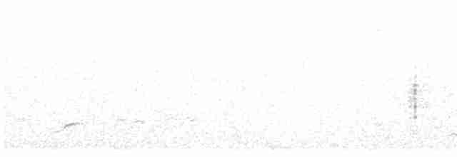 Great Reed Warbler - ML327194961