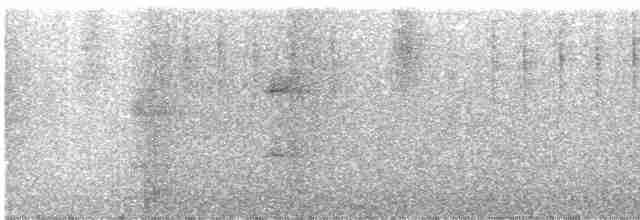 Тиранчик-мухолюб сіроголовий - ML327432881