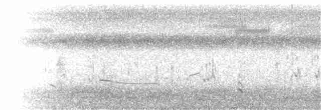 Короткоклювый бекасовидный веретенник - ML32747431