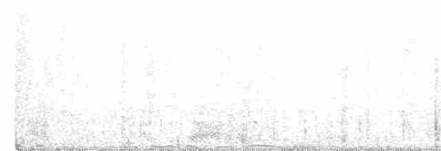 Paruline noir et blanc - ML327521611