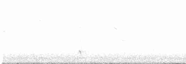 Brown-crested Flycatcher - ML327531701