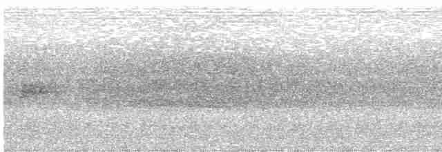 Tüpfelkronen-Ameisenvogel - ML327574881
