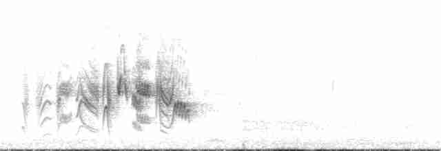 Віреон короткокрилий (підвид arizonae) - ML327592131