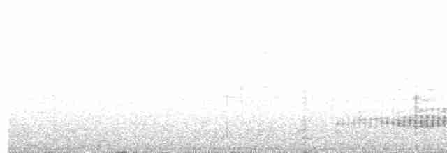 Band-winged Nightjar (atripunctata) - ML327626391