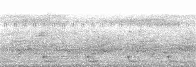 Large-tailed Nightjar - ML327750461