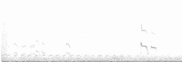 Короткоклювый бекасовидный веретенник - ML327788881