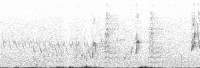 Woodchat Shrike - ML327947381
