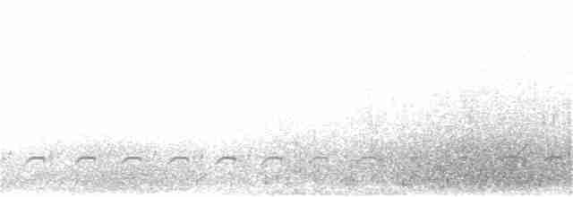 Pluvier siffleur - ML327991451