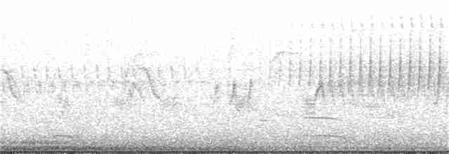 Пісняр-лісовик жовтогузий (підвид coronata x auduboni) - ML328022521