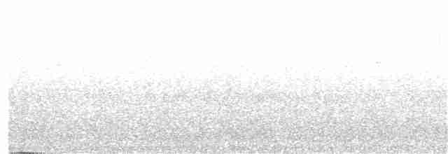 Сичик-горобець болівійський - ML328044841