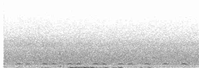 White-throated Screech-Owl - ML328064911