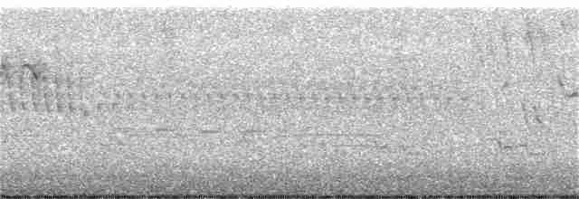 Червоїд сіроголовий - ML328135121