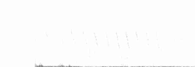 クリガシラジアリドリ - ML328160521