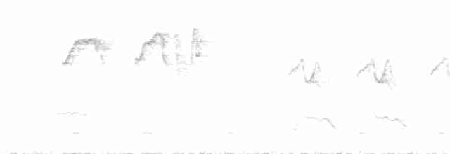 Пенелопа андійська - ML328163471