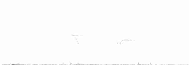 Заросляк сірогрудий - ML328166071