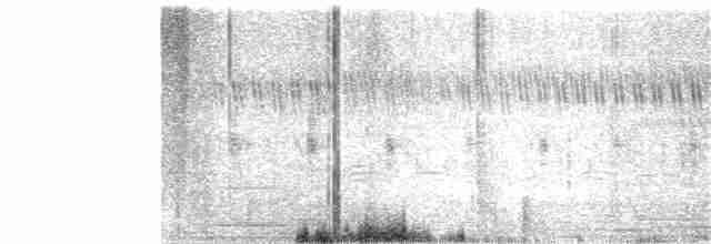 灰胸秧雞 - ML328271001