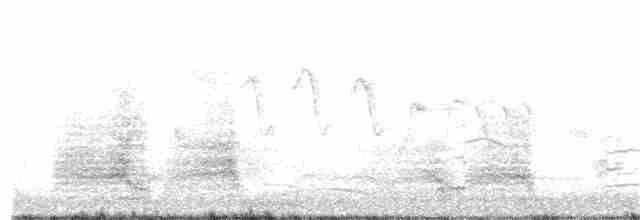 裏海燕鷗 - ML328327561