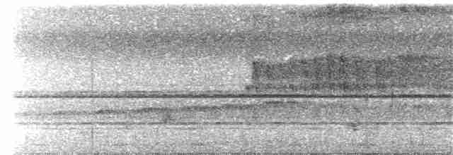 Дятел-коротун смугастокрилий - ML328329991