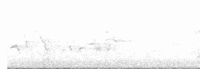 Очковая x Желтогорлая древесница (гибрид) - ML328349321