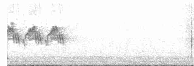 Очковая x Желтогорлая древесница (гибрид) - ML328349351