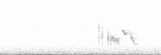 Western Black-eared Wheatear - ML328397411