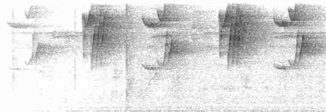 Большеклювый колибри-отшельник (margarettae) - ML328615541