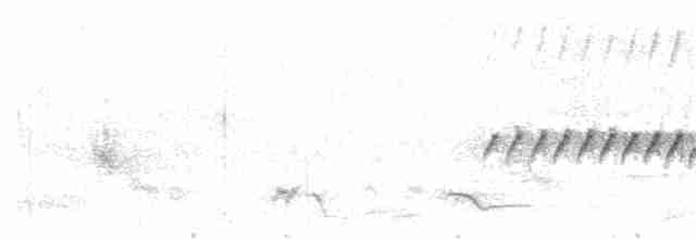 langhalemønjefugl - ML32871151