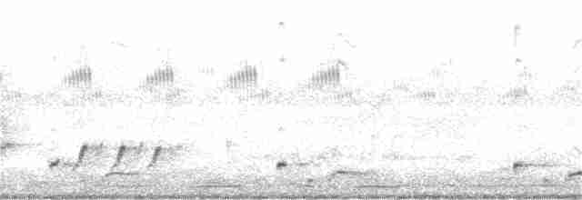 Streifenpanthervogel [melanocephalus-Gruppe] - ML328870551