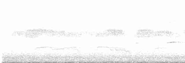 Höhennachtschwalbe (poliocephalus) - ML329080691