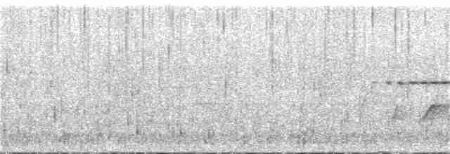 White-eared Sibia - ML329247561