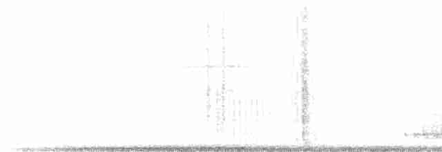 hvitbrynsvartspett - ML329278761