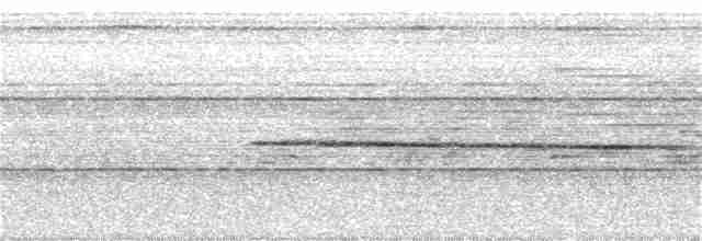 Gray-headed Babbler - ML329288761