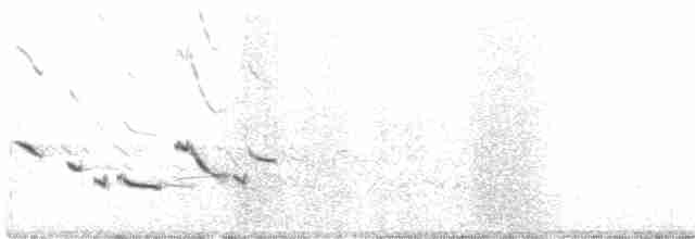 Sturnella meadowlark sp. - ML329303031