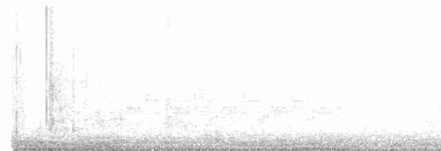 White-eyed Vireo - ML329320591