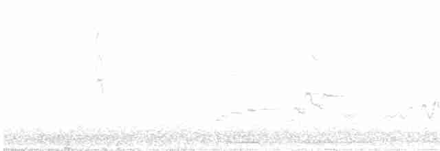 Austral-Schlangenhalsvogel - ML329517271
