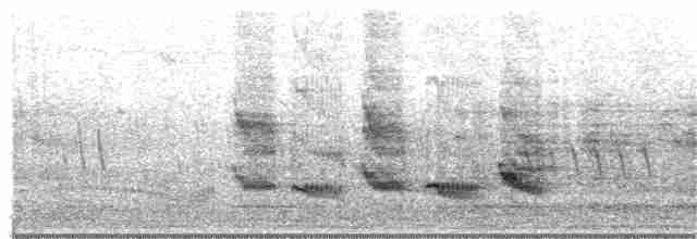 Western Orphean Warbler - ML329598391