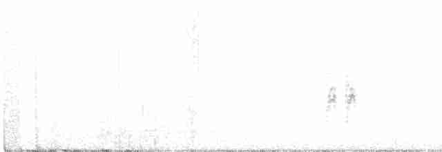 White-tailed Kite - ML329747711