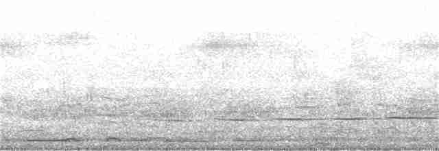 Кустарниковая кукушка [группа variolosus] - ML329991921
