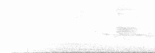 Вилохвістка плямиста - ML330011241