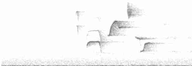 Turuncu Gagalı Bülbül Ardıcı - ML330092581
